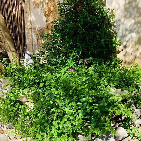 Appartement Avec Jardin Privatif Cazouls-lès-Béziers Buitenkant foto