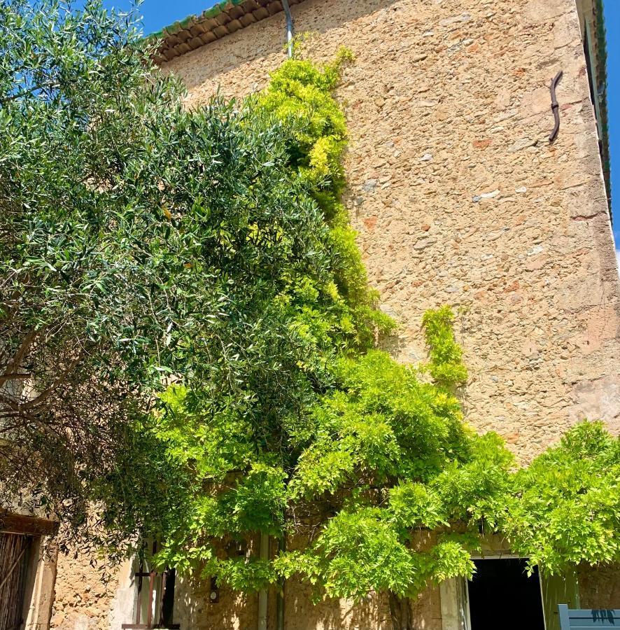 Appartement Avec Jardin Privatif Cazouls-lès-Béziers Buitenkant foto